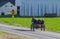 Open Amish Horse and Buggy With Family Riding in it