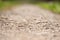 Open aperture close-up field track with pebbles