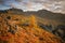 Open aperture shot of autumn sunrise in the mountains. Colorful shot with beautiful foreground of nortern nature