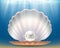 Open beautiful seashell with a precious pearl.