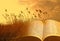 open bible golden harvest spiritual light god christ jesus jehovah wheat field parable miracles book