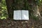 Open Bible in Isaiah chapter 40 outdoors. Leaves and tree trunk background. Horizontal shot