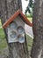 Open bird house for feeding birds