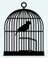 An open birdcage and bird