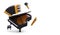 Open black grand piano, stool, accordion, flute, microphone. Floating vector objects