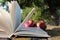 Open book and apples. Outdoor picnic. Ripe juicy red apples on old wooden table with moss in sunny day outdoors against green tree