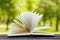 Open book on a bench in park in a sunny day, reading in the summer, education, textbook, back to school concept