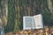 Open book in blue bound lying on a dry leaves. Background texture bark tree in spring nature forest lake. pages blurry sunlight