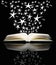 Open book and bright stars