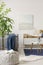 Open book on comfortable pouf in white, grey and navy blue living room interior with big green plant