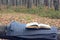 Open book on a knitted wool blanket on a fallen tree