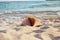 An open book laying on a sandy sunny beach at sunset.