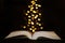 An open book lies on a dark background, above the book are the lights of a garland in the shape of hearts.