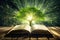 Open book with magical green tree