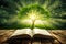 Open book with magical green tree