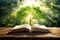 Open book with magical green tree