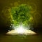 Open book with magical green tree and rays of
