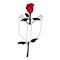 Open book in the middle of a red rose, like a bookmark. Concept of literature, poetry, reading, education. Design for decoration