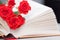 An open book with red orange roses. Reading and relaxing. Romantic, sweet, dating concept