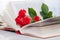 An open book with red orange roses. Reading and relaxing. Romantic, sweet, dating concept