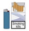 Open cigarettes pack with gas lighter. Color