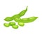 Open and Closed Green Soybean Pods Vector Items