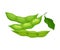 Open and Closed Green Soybean Pods Vector Items