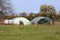 Open and closed plastic greenhouses filled with tomato plants next to two intermediate bulk containers or IBC plastic tanks