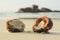 Open coconut on white sand in beach