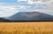 Open country meadow in autumn