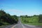 Open Country Road lined by trees and greenery