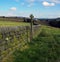 Open countryside with direction sign next to a dry stone wall