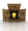 Open crate with bulb light illumination