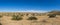 Open Desert Grassland in California