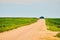 Open dirt road through farmland