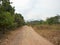 Open dirt road in green forest with mountain