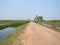 Open dirt road in green forest in wetland