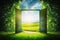 An open door on a green meadow showing another world
