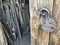 The open door of the old wooden shed. Inside are agricultural tools. A vintage padlock hangs in a loop on the door.