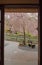 Open the door to looking the cherry blossoms in bloom. background