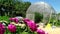 Open doors in a greenhouse with tomato vegetables. Garden tools are at the greenhouse. In the foreground, out of focus, the wind