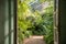 Open doors in greenhouse with various ferns, palms and other tropical plants in sunny day