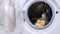 In the open empty washing machine , a yellow little cute duckling sits. He tries to jump out