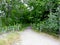 Open entrance with wooden fence to the forest. Gravel pathway to the green woods