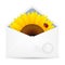 Open envelop with sunflower and ladybird.