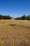 Open farm field and spring flowers