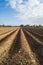 Open farmland in Doetinchem, Holland/ Netherlands.