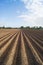 Open farmland in Doetinchem, Holland/ Netherlands.