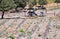 An open field of bio agriculture farm gardening concept with pet domestic horses tied under the shed behind fence. Country side