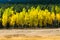 Open Field with Layers of Aspen Color